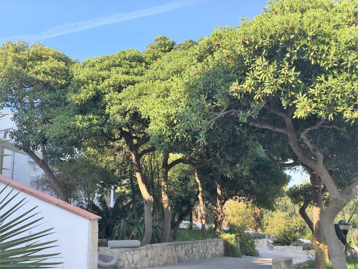 Maison Marie Vieste Bagian luar foto